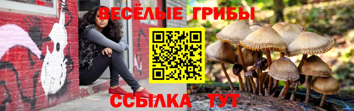 где купить   Вход с VPN  Тельмана  Псилоцибиновые грибы мухоморы 